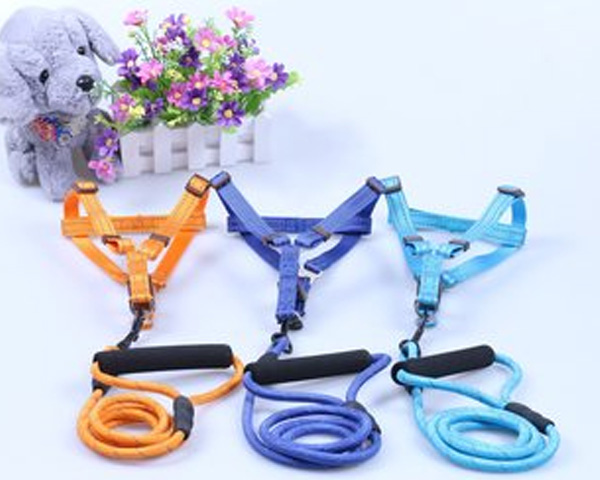 湖北造牵引绳靠谱！宠物狗牵引绳握感舒适不勒手，长短可调适配多场景，遛狗轻松又愉快